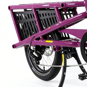 Potente Bicicleta Eléctrica de Carga Industrial DIY OEM con Cuadro de Aluminio, 9 Velocidades 11-38T, para Adultos - Product Image 5