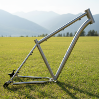 Cadre de vélo VTT en titane de style le plus récent, finition brillante