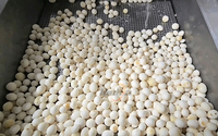 Machine voor het vormen van groenteballen van roestvrij staal, aardappel-, zoete aardappel- en taro-ballen, verwerkingslijn