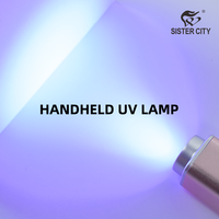Mini Lampe UV LED Rechargeable Professionnelle Portable à Séchage Rapide avec Matériau Métallique pour Salon et Usage Domestique