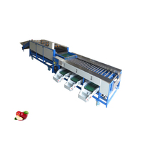 Fruit Vegetable Size Sorting Machine Fruit Sorting Machinery Potato Sorting and Grading Machine