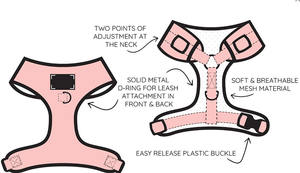 Preto Macio Acolchoado Gilet pour <span class=keywords><strong>chien</strong></span> Harnais pour animaux de compagnie sans traction avec une <span class=keywords><strong>laisse</strong></span> à clip Manteau réglable pour animaux de compagnie - Product Image 6