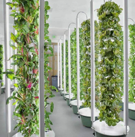 Tour d'hydroponie et d'aéroponie à 5-13 niveaux pour ananas, avec réservoir d'eau de 65L, système de culture de légumes sans terre pour serre domestique