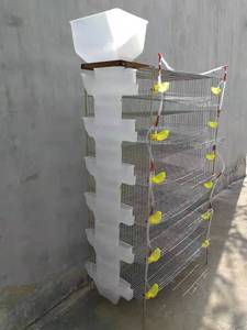 <span class=keywords><strong>Jaula</strong></span> para poner <span class=keywords><strong>Codorniz</strong></span> con capacidad <span class=keywords><strong>de</strong></span> 360 codornices, <span class=keywords><strong>jaula</strong></span> con colector <span class=keywords><strong>de</strong></span> huevos y alimentador, HJ-QC400A - Product Image 3