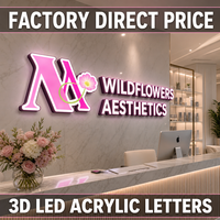 Lettres en acier inoxydable avec logo personnalisé en or miroir 3D, éclairées par LED à l'avant, étanches IP65, pour la publicité, les salons de beauté, les salons de manucure