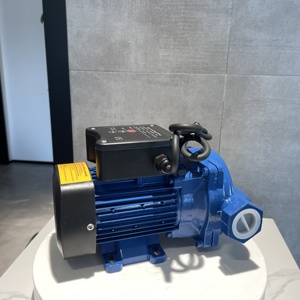 Pompe à eau électrique auto-amorçante domestique 2023 - Product Image 6