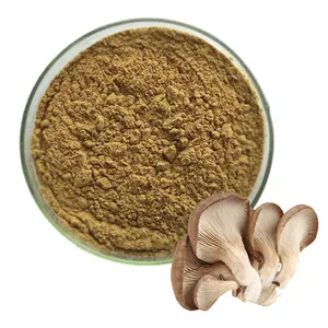 High Quality Pleurotus Ostreatus Powder Polysaccharide 30% Oyster Mushroom Extract Dried Oyster Mushroom