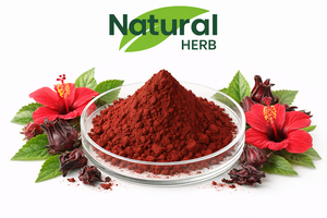 食品グレード供給 無料サンプル 100%天然ハイビスカス花エキス粉末 ロゼルエキス - Product Image 4