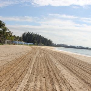Máquina de Limpieza de Playas Montada en Tractor, Alta Eficiencia para Limpiar Piedras y Sargassum, Ancho de Trabajo 1.80m, Personalizable - Product Image 4