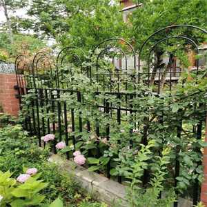 Panneau de treillis de jardin en fer pour plantes grimpantes, support pour roses et clématites, clôture extérieure décorative, grande taille - Product Image 4