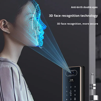 TYSH Acht Talen Video Slimme Deurvergrendeling Palm Biometrische Gezichtsherkenning WiFi 5000mAh Lithium Batterij CNC Slotenfabriek
