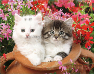 <span class=keywords><strong>Affiche</strong></span> animée en plastique 3D lenticulaire MEIXIANG, personnage de <span class=keywords><strong>film</strong></span> et de télévision, animation de retournement, peinture sportive, modèle 3040 - Product Image 4