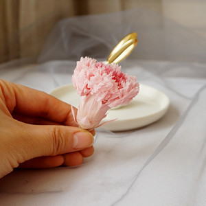 <span class=keywords><strong>Rosas</strong></span> Eternas Preservadas y <span class=keywords><strong>Estabilizadas</strong></span> al por Mayor de ZanTe, Flor de Clavel para el Día de la Madre con Cabeza Grande de 4-5 cm - Product Image 6