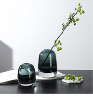 Vase en verre transparent lourd de conception belge pour la livraison directe, artisanat hydroponique décoratif, arrangement floral à domicile, vase pour fleurs séchées