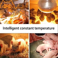 La volaille garde la lampe chaude de couveuse d'ampoule de lampes de chaleur pour le chien de cochon de poulet et d'autres animaux