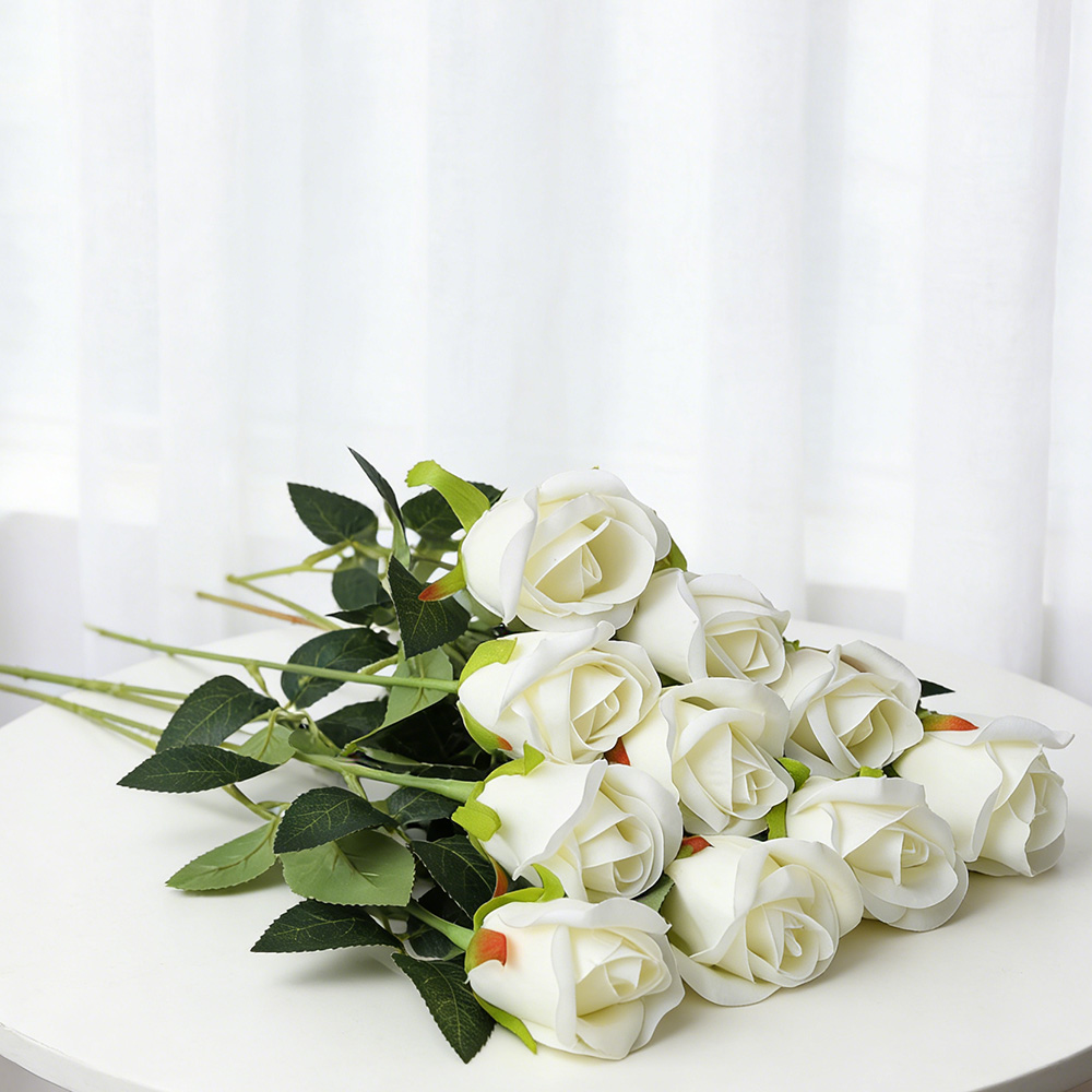 Blanc (Rose des montagnes enneigées)