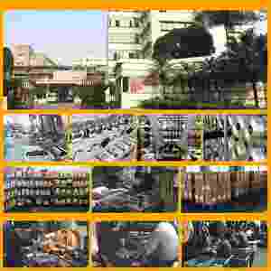 Ensemble de bâtons de bois gras Baiyuheng pour le camping, allume-feu de camping, blocs d'allumage de survie - Product Image 6