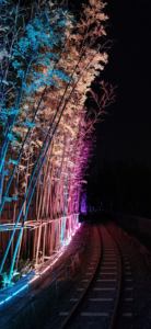 Luces de iluminación impermeables IP65 para árboles en jardines y calles - Product Image 1