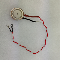 Diode redresseuse semi-conductrice de puissance série ZP ZP75X26-5000-6000V 75A 5000V - 6000V pour applications industrielles SCR En stock