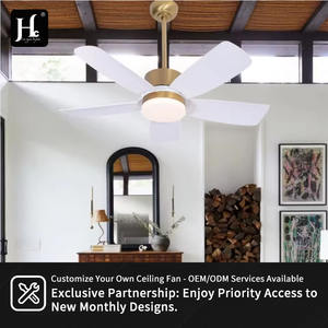 Ventilador de Techo LED Moderno de 48 Pulgadas con Motor de CC, 5 Aspas, Control Remoto, Material de Hierro y ABS para Uso Durante Todo el Año en la Sala de Estar - Product Image 5