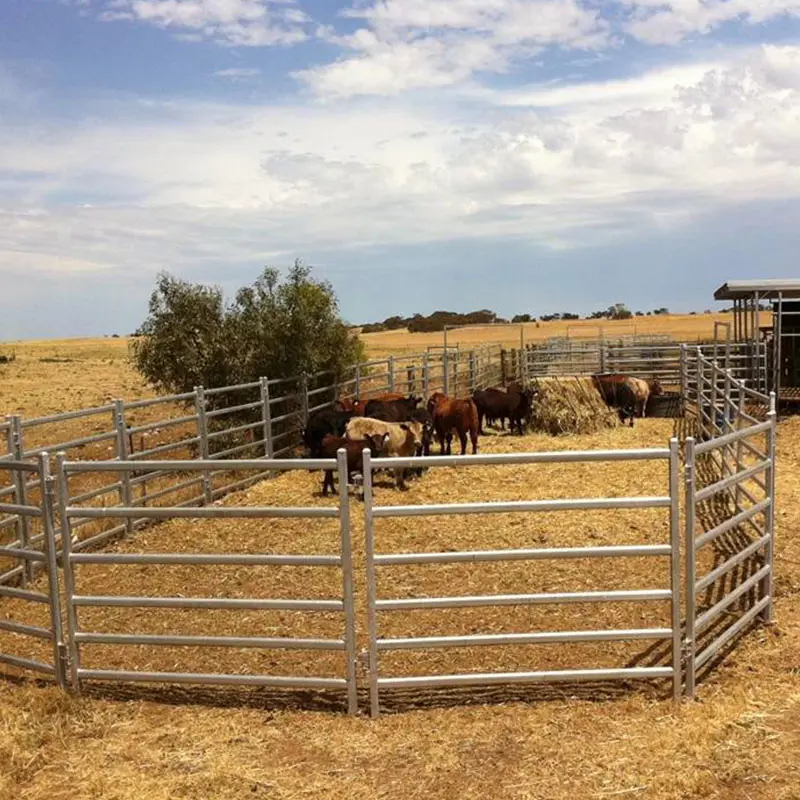 Panel de corral, granja, paneles cuadrados redondos para caballos, panel de ovejas australianas, valla Ovalada para caballos, puerta para ganado