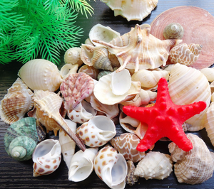 Simulatie Kunstmatige Zeebodem Simulatie Coral Landschap Fish Simulatie Van Coral Aquarium Coral - Product Image 2