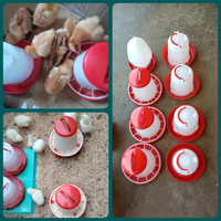 Nouveau distributeur automatique de nourriture pour poulets rouge et blanc de 1,5 kg avec pieds en plastique pour poulets, canards, oiseaux, volailles