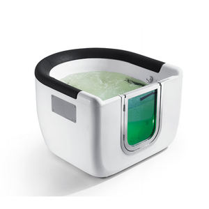 ワールプールエアジェット歩行浴槽シャワーコンボ高齢者ワンピースアクリル高齢女性性障害者ウォークインシャワー浴槽コンボ - Product Image 2