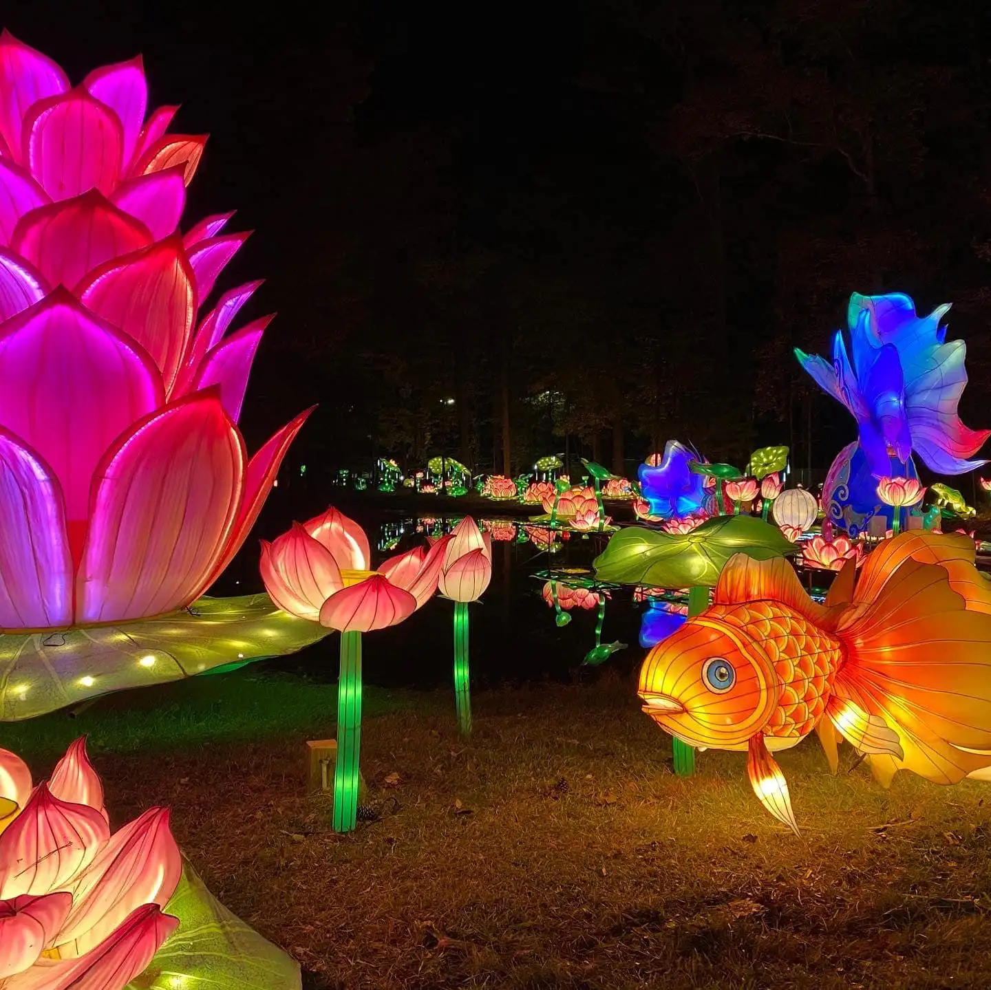 Zigong dekorasi festival ikan lotus sutra, lentera gantung Natal luar ruangan LED kertas China, lentera hewan