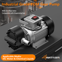Pompa Gear Industri Listrik Cavitt Factory 750W 380V POM 2800RPM untuk Transfer Cairan Kimia, Air, dan Minyak dengan Viskositas Rendah