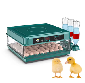 Incubadora de Huevos Totalmente Automática, Gran Capacidad de 50 a 50,000 Huevos, Apta para Pollos, Patos, Codornices y Loros - Product Image 2