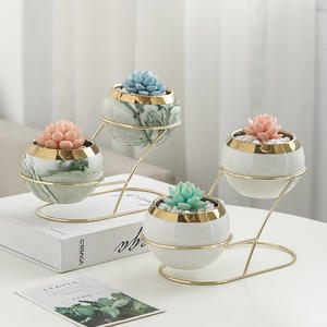 Maceta redonda de cerámica chapada en oro de mesa con logotipo personalizado, maceta de cactus suculenta con soporte doble de hierro - Product Image 1