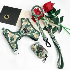 Conjunto de arnés de neopreno personalizado para perro, correa de neopreno con soporte para bolsa de caca de Mascota, collar ajustable para mascota, arnés para perro de alta calidad, venta al por mayor - Product Image 4