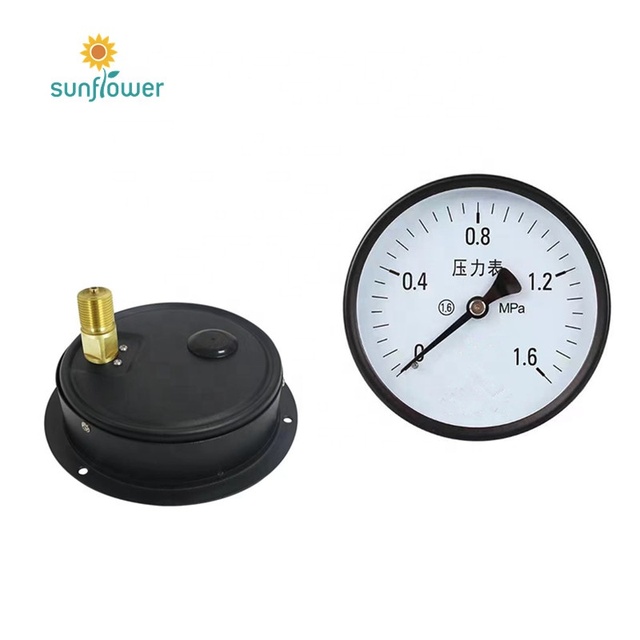 Y-100 Lower Back Mounting Pressure Gauge with Pointer Display, 0-1.6 MPa Range (Water/Oil/Gas)