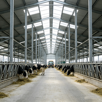Structure en acier préfabriquée pour ferme d'élevage, hangar isolé pour vaches laitières, grand hangar d'élevage de bétail