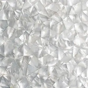 Pure White Mother of Pearl Shell Mosaic Seamless Backsplash Tile