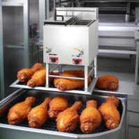 2025 Guangzhou Commercial Table Gaz Friteuse En Acier Inoxydable Double Friteuse pour Restaurants Nouvel État Offre Spéciale