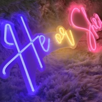 Letrero Luminoso LED RGB Personalizable de Acrílico Aladin Neno, para Fiestas de Revelación de Género, Decoración de Pared, Brillo Vibrante, Atractivo, de Alto Brillo