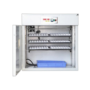 Chất lượng cao giá rẻ trứng lồng ấp 528 cho doanh số bán hàng gia cầm trứng lồng ấp - Product Image 6