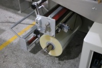 Machine d'emballage automatique de dattes arabes en sachets plastiques