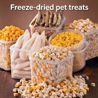 Friandises lyophilisées riches en calcium pour chiens et chats, poulet, canard, foie de bœuf, herbe pour chats, 100% sans additifs, seau de 500g, vente en gros, OEM