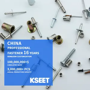 Kualitas tinggi pabrik Cina penjualan terlaris paku keling Pop 4.0mm baja Aluminium kepala kubah buta paku keling ujung terbuka buta