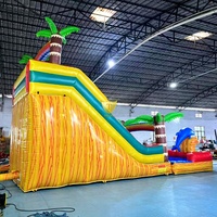 Toboggan aquatique gonflable avec piscine, forme vague, double piste, en PVC durable, toboggan commercial pour enfants et adultes