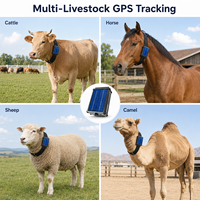 Traceur GPS Portable pour Moutons, Bovins, Vaches – Garantie 1 An, 4G, Étanche, Compatible Android/iOS, Utilisation Agricole, Historique de Navigation