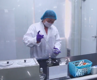 Kiwis entiers surgelés IQF en vrac 10 kg