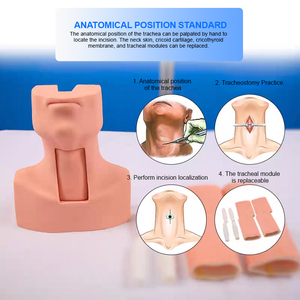 Mannequin d'entraînement avancé ADA-J58 en PVC pour la trachéotomie et l'intubation, modèle de formation pour infirmières en sciences médicales, Shanghai - Product Image 6