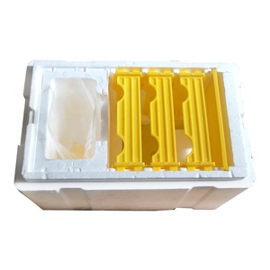 Plastic queen rearing beekeeping bee hive tool nuc bee box