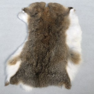 Peaux de lapin Rex de qualité supérieure - Peaux de lapin Rex véritables à toucher soyeux et haute densité - Product Image 5