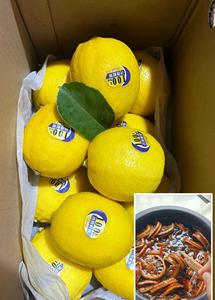 Натуральная цедра цитрусовых и лимонный консервированный с сахарным камнем 300 г традиционной вареной пасты в стеклянной банке для напитков - Product Image 3