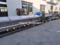 DZJX Automatique Curcuma Asperges Wagon Cutter Machine À Laver Palm Dates Fruits Et Légumes Rouleau Brosse Machine De Nettoyage